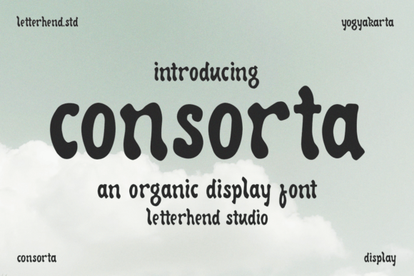 Consorta: The Modern Display Typeface for Bold Web Design