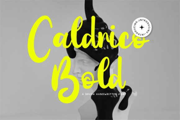 How Caldrico Bold Transformed My Brand Identity
