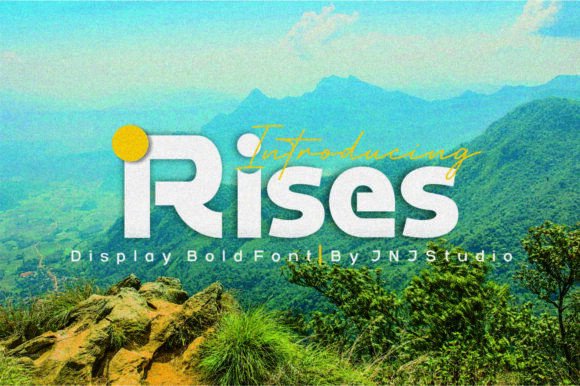 How Rises Transforms Handmade Product Branding and Shop Design